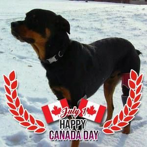 Meet your Posher, Sumerdeijz